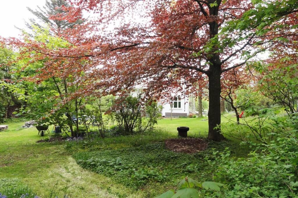 Charming Flat In Cosy Farmhouse Skudeneshavn Kültér fotó